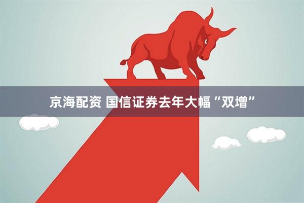 京海配资 国信证券去年大幅“双增”
