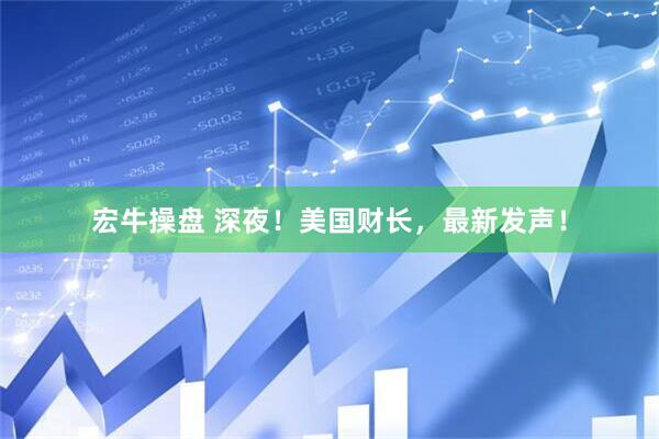 宏牛操盘 深夜！美国财长，最新发声！