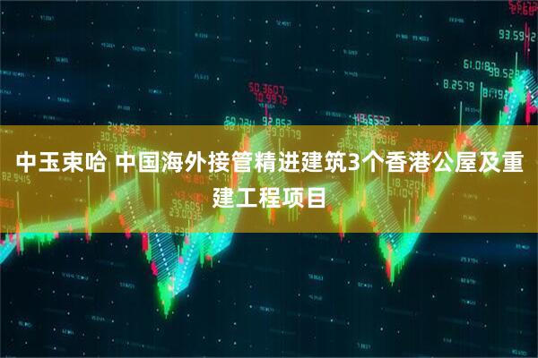 中玉束哈 中国海外接管精进建筑3个香港公屋及重建工程项目